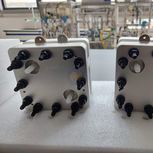 Disassembled PEM Hydrogen Generator for Electrode test Membrane test